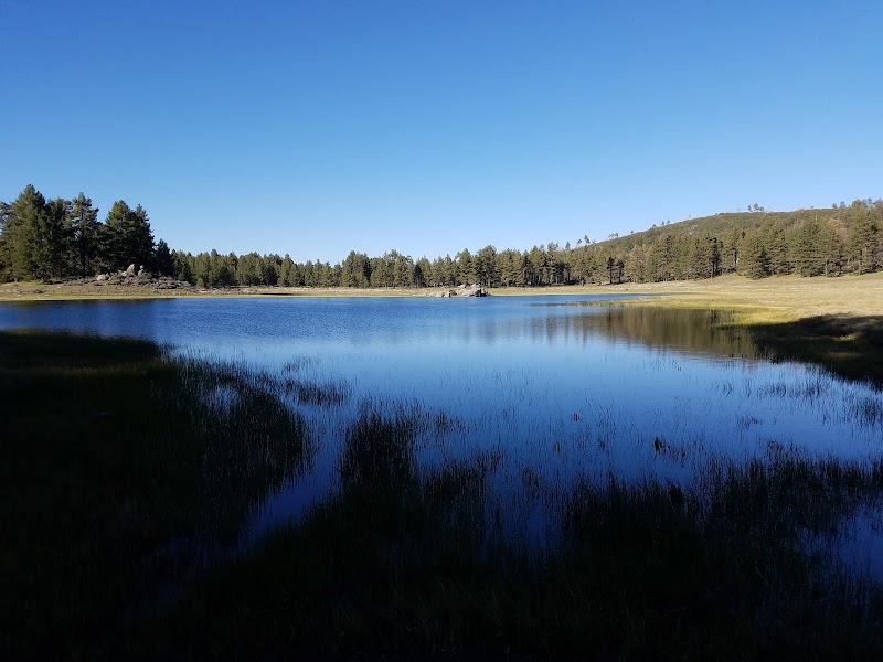 El Prado Group Campground