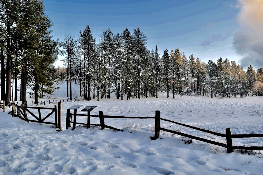 El Prado Group Campground
