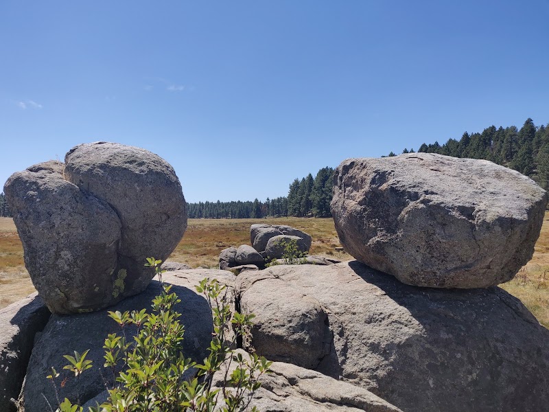 El Prado Group Campground