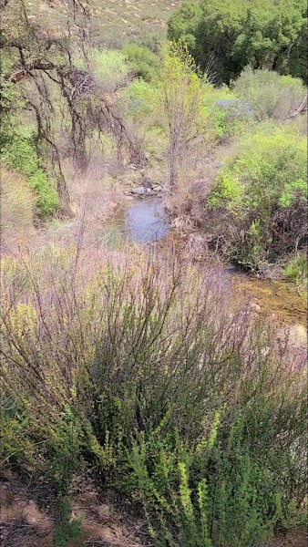 Espinosa Trail