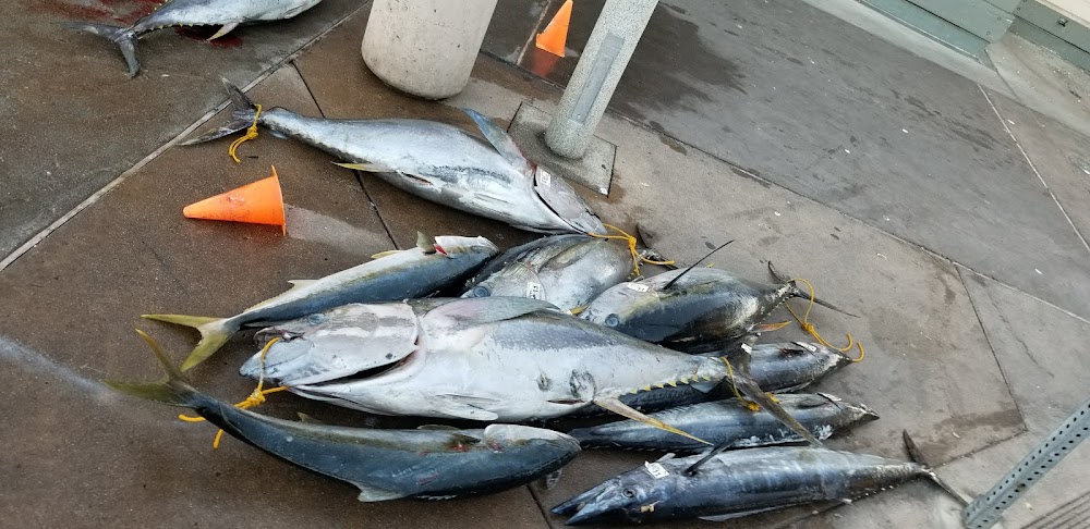 Excel Sportsfishing