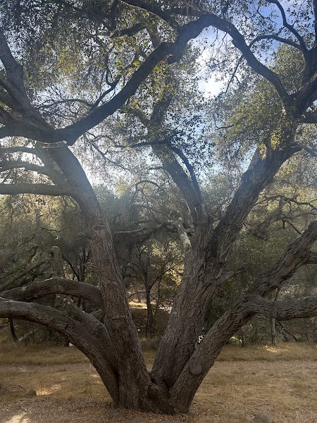 Felicita County Park