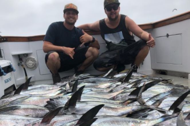 Fish Count