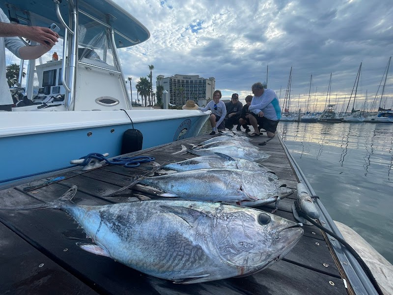 Fish Count