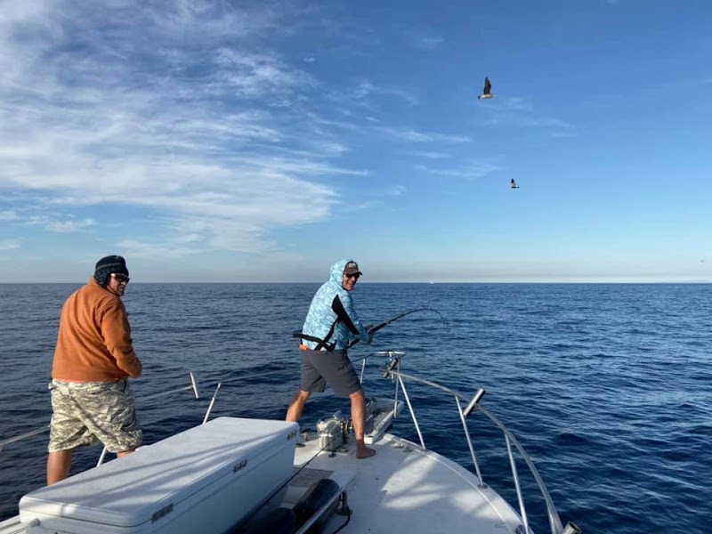 Fish Count