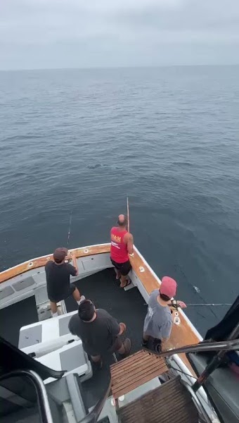 Fish Count