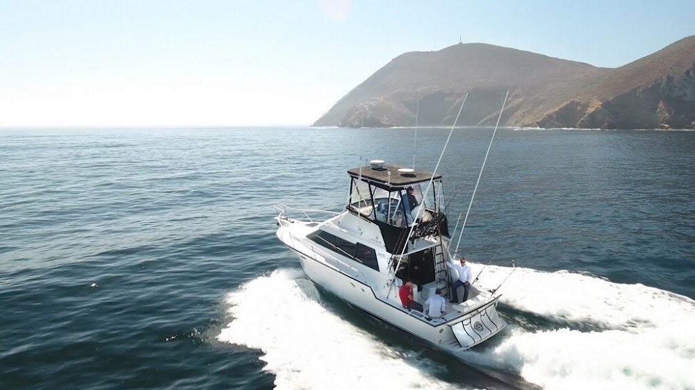 Fish Hunter Charters