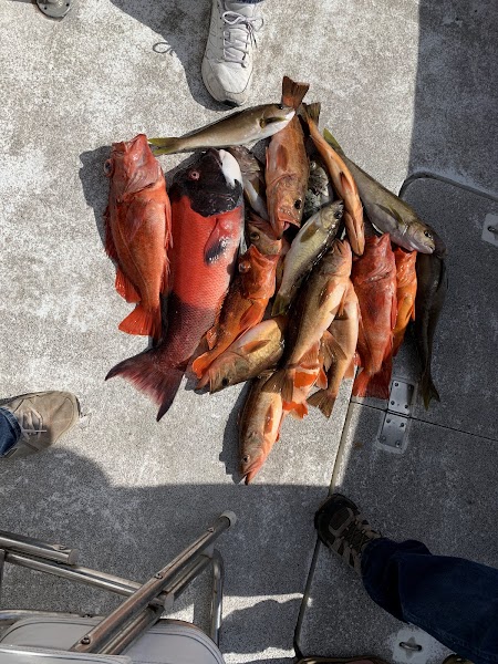 Fish Hunter Charters