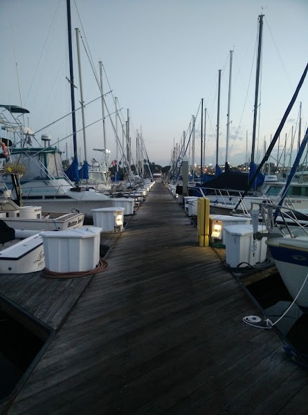 Fish Hunter Charters