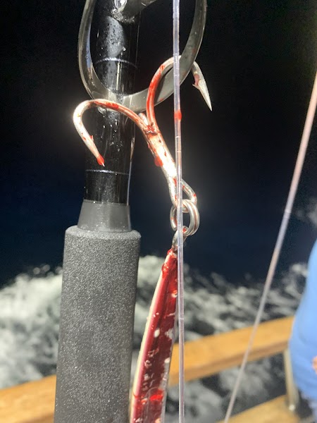 Fortune Sportfishing