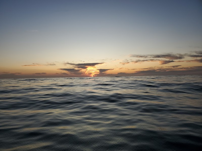 Fortune Sportfishing