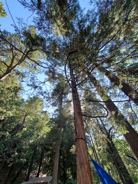 Fry Creek Campground