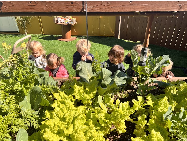 Gaby's DayCare