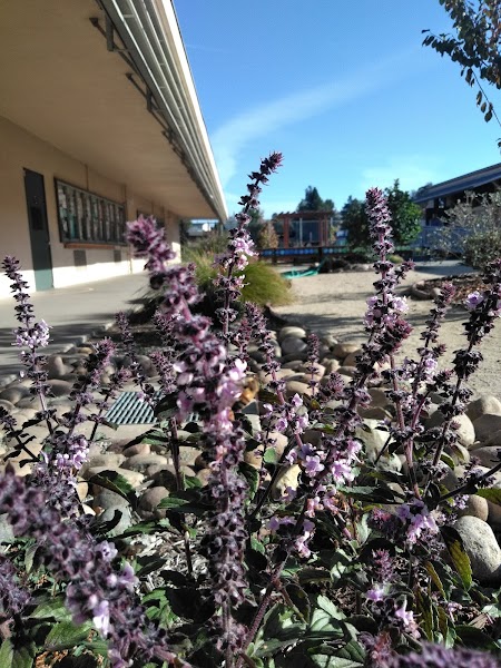 Gage Elementary School