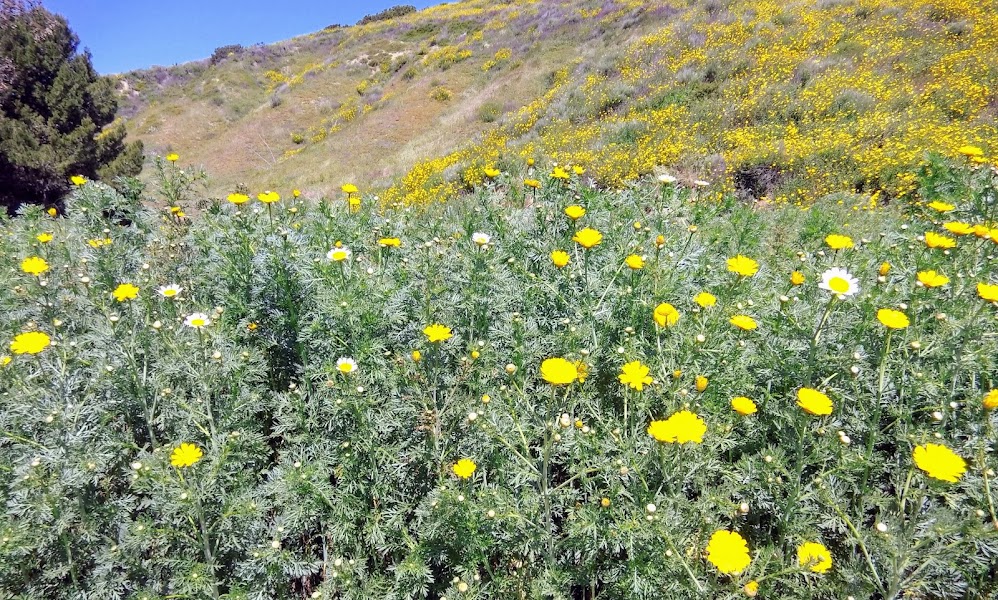 Gardena Loop Trailhead