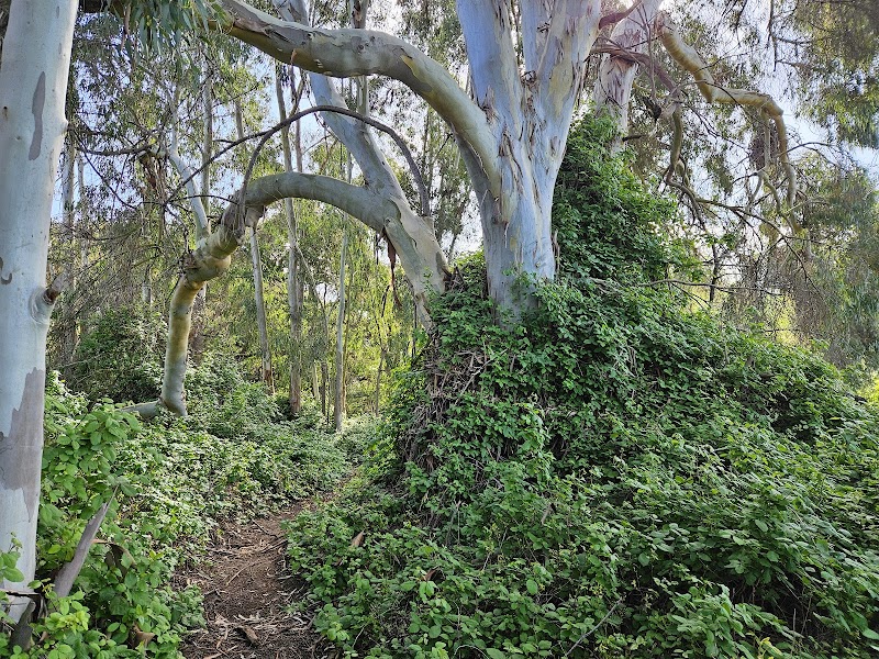 Gardena Loop Trailhead