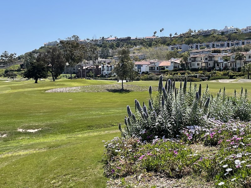 Golf at Omni La Costa