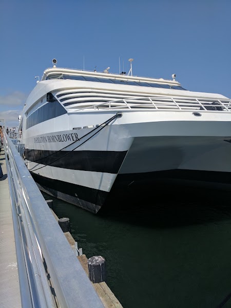 Grape Street Pier