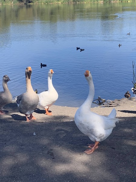 Guajome Regional Park