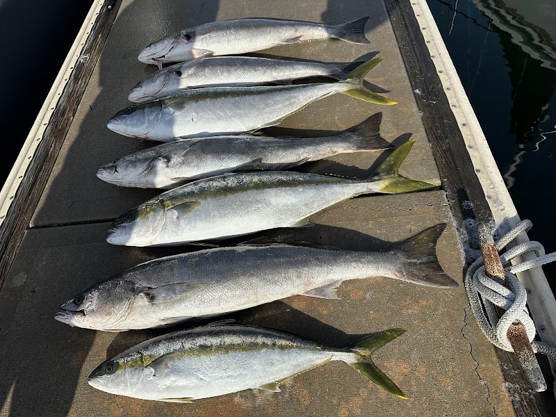Guardian Charters