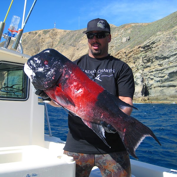 Guardian Charters