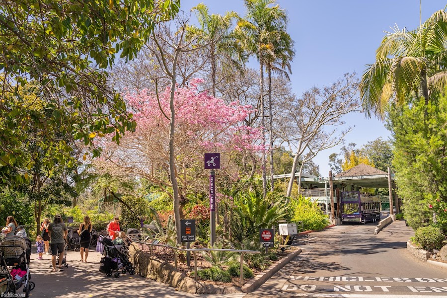 Guided Bus Tour