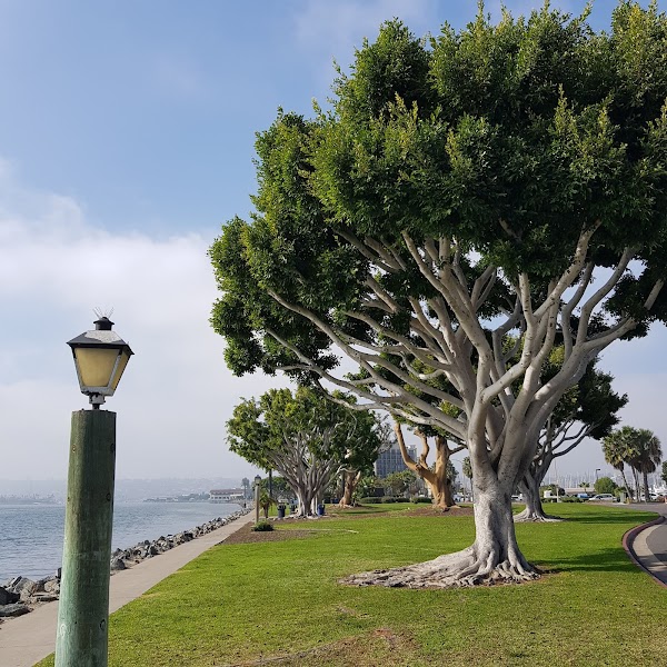 Harbor Island Park