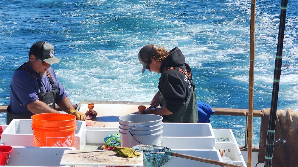 Helgrens Sportfishing