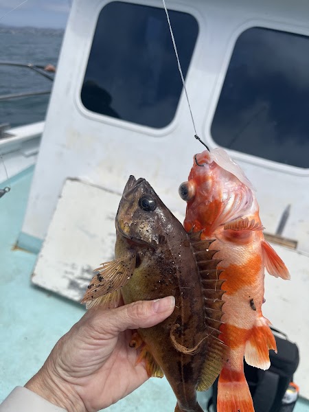 Helgrens Sportfishing