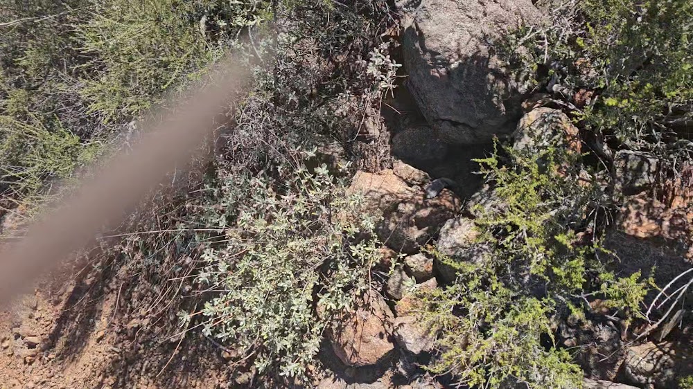 Hellhole Canyon County Preserve
