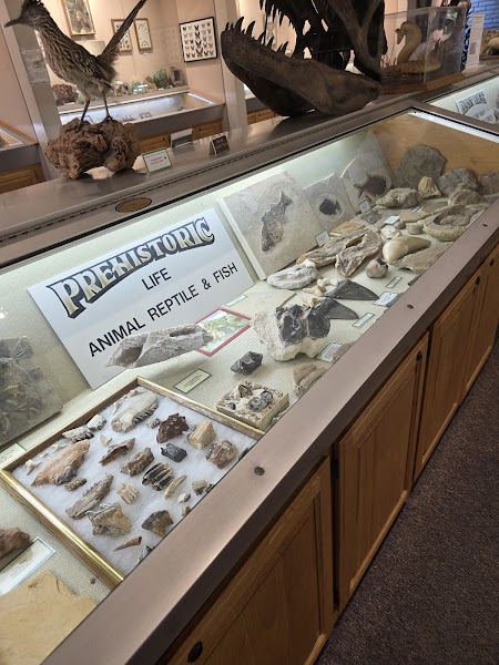 Heritage of the Americas Museum