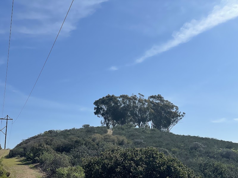 Hilltop