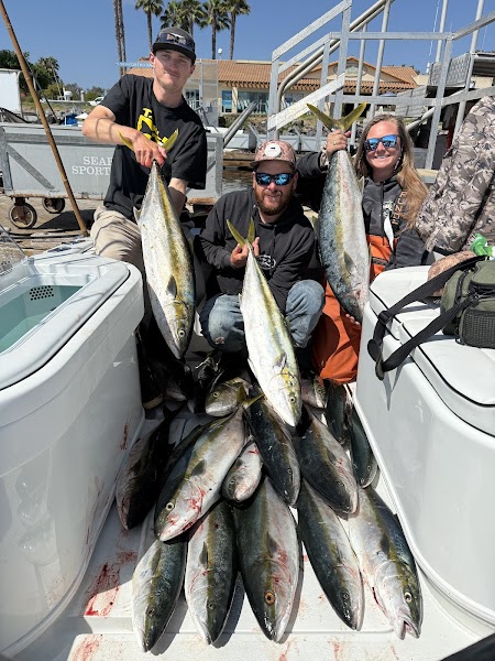 Hola Cappy Charters