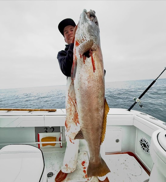 Hola Cappy Charters
