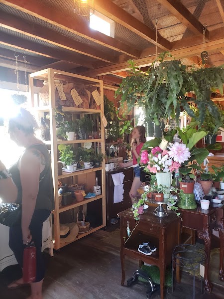 Honest Thrift and Plants