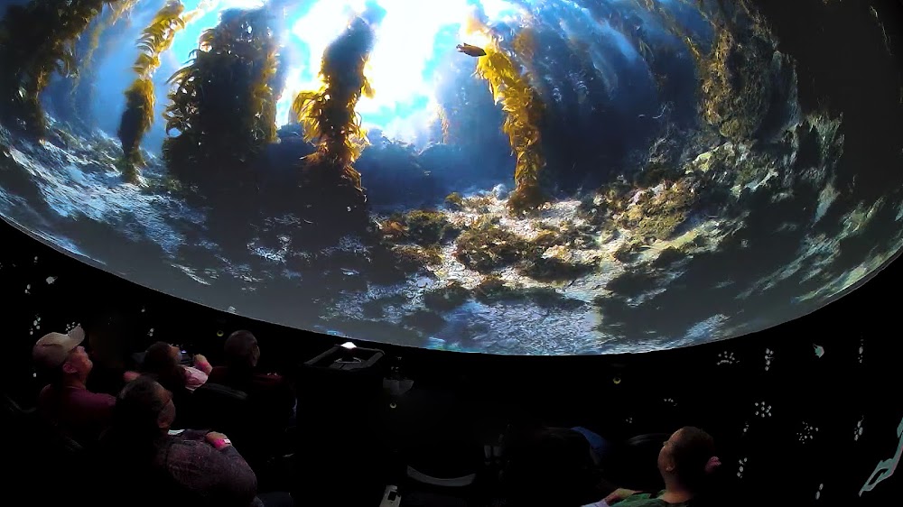 IMMERSED