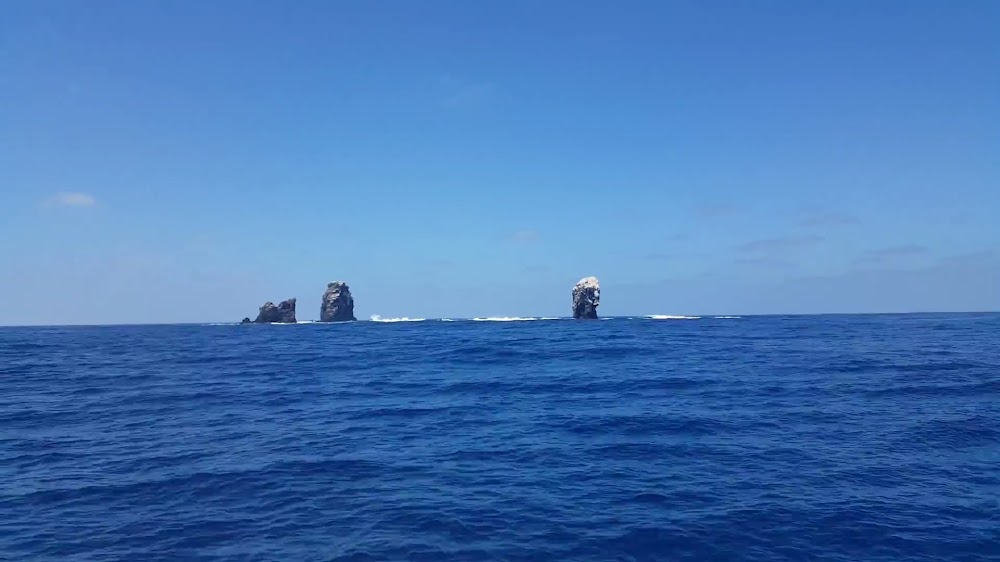 Independence Sportfishing