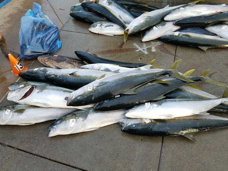 Independence Sportfishing