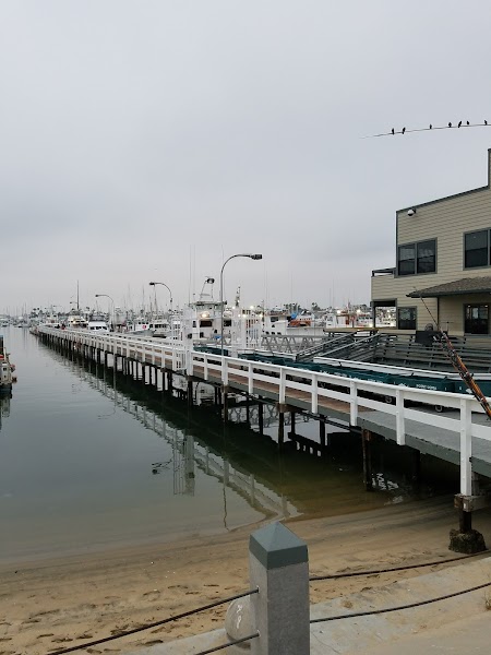 Independence Sportfishing