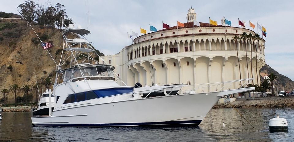 Infusion Charters