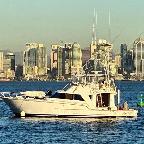 Infusion Charters