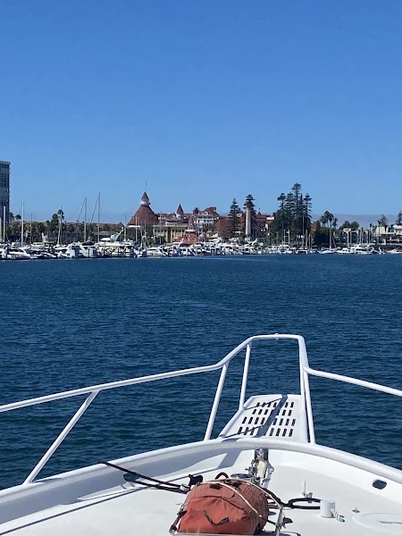 Infusion Charters
