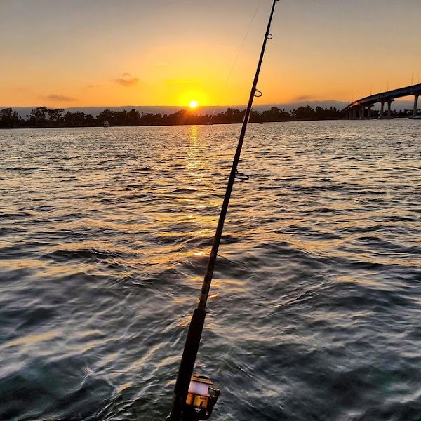 Infusion Charters