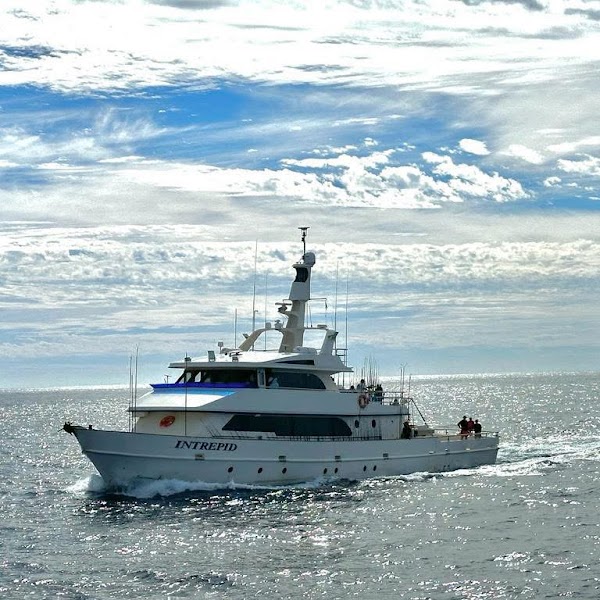 Intrepid Sportfishing
