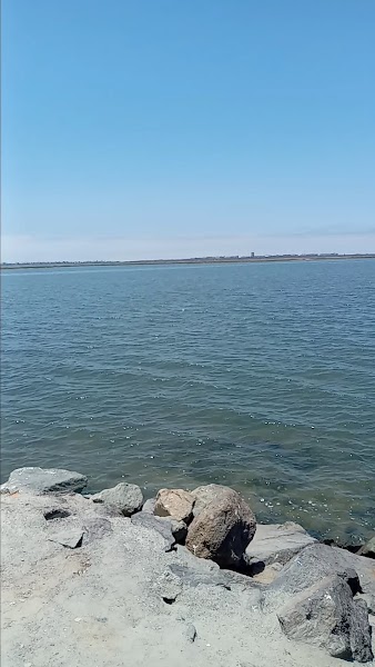 J Street Marina