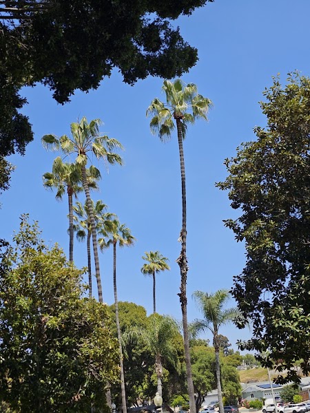 Jackson Park