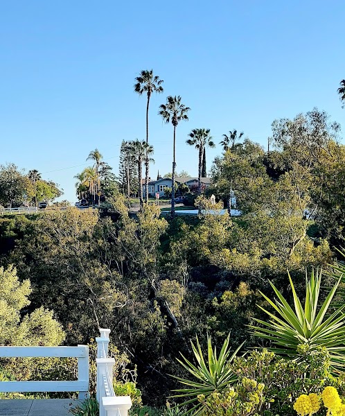 Juniper Canyon
