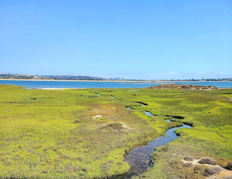 Kendall-Frost Mission Bay Marsh Reserve