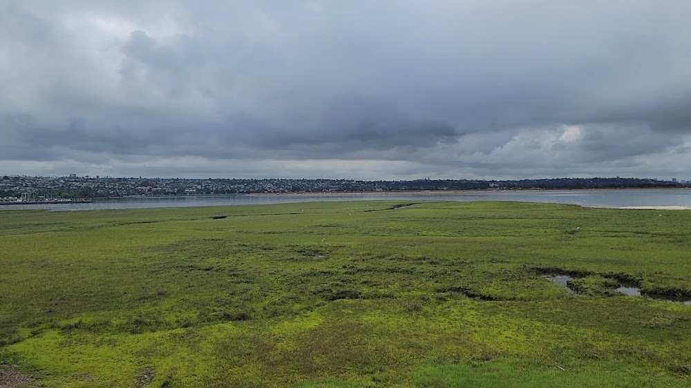 Kendall-Frost Mission Bay Marsh Reserve