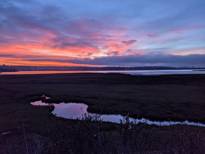 Kendall-Frost Mission Bay Marsh Reserve